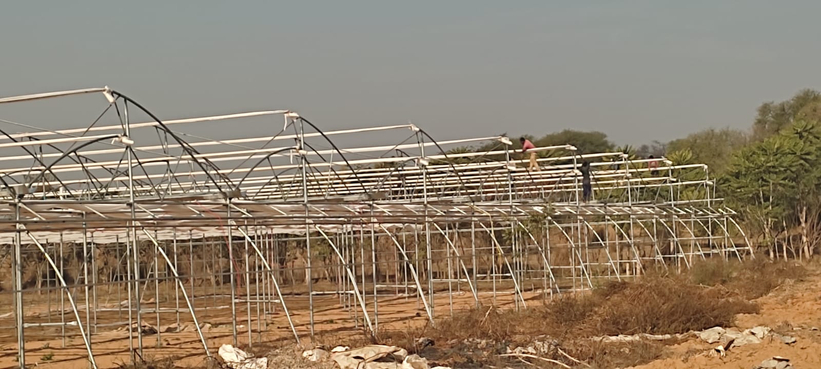 Greenhouse Project 44